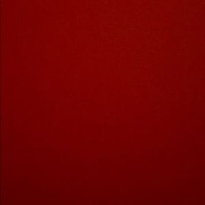 Meet your Posher, Ani